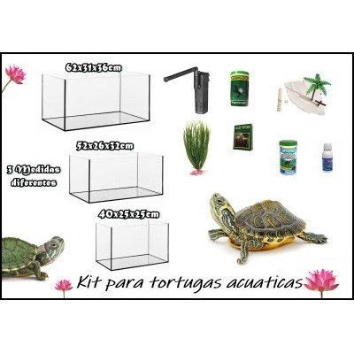 Kit completo de Tortugas acuaticas